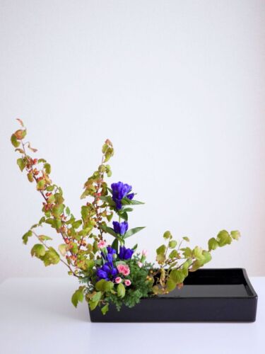 stellamyth20250927-kado-tate-2